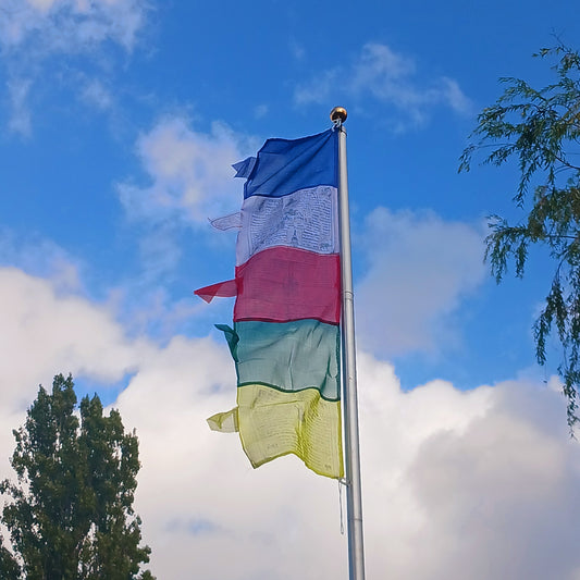 The colours of the Tibetan Prayer Flags symbolize the five elements. blue-wind, white-water, red-fire, green-space and yellow-earth. The Tibetan Prayer Flag contain phrases requesting good health and fortune.