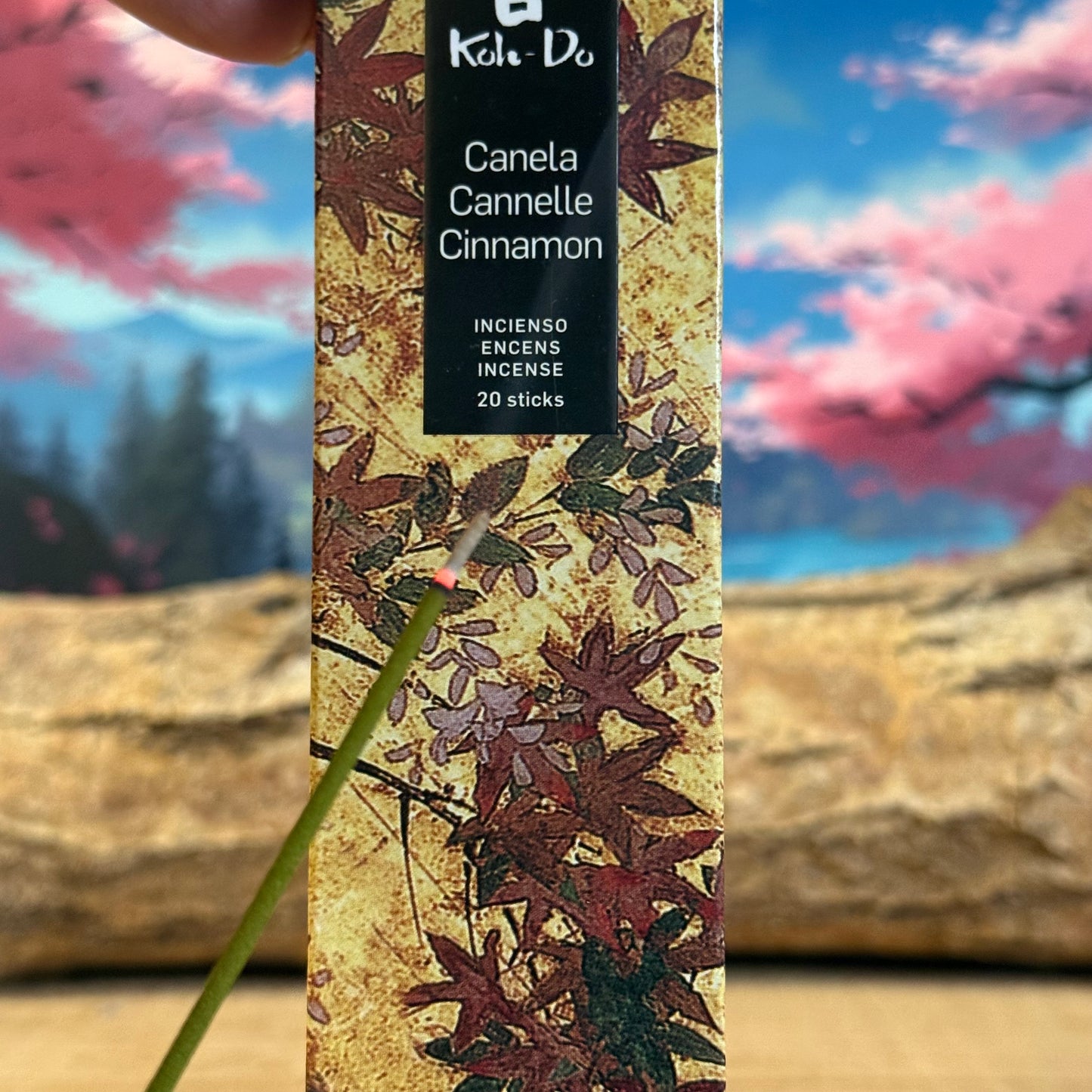 Koh-Do Cinnamon Incense | Warm Japanese Spice for Meditation

Warm cinnamon incense blended with star anise & camphor. Koh-Do’s Japanese sticks bring temple calm & sacred fragrance to your meditation space.