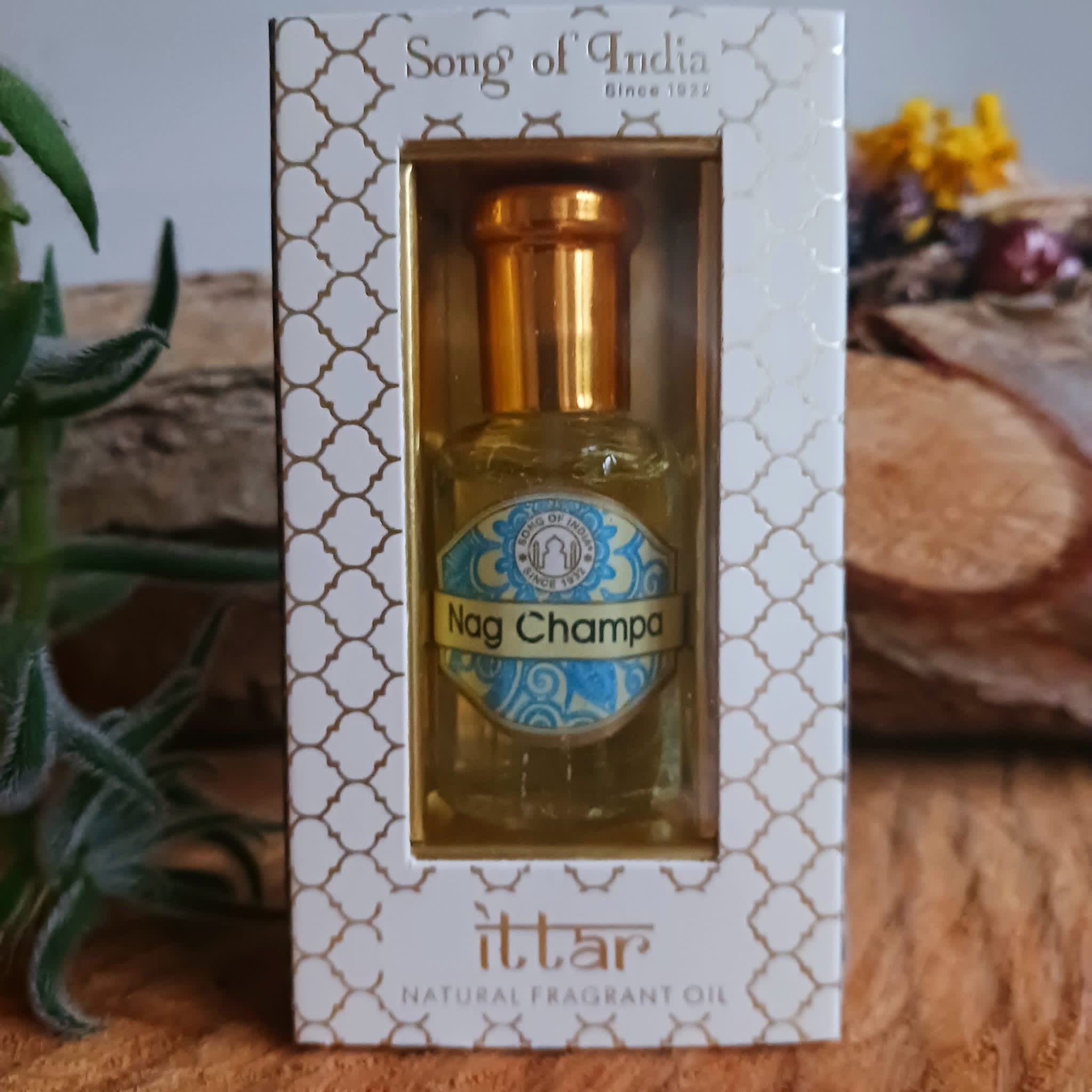 DB044EEE-2442-48BF-9A7F-D01C12A5B3C7.jpg?v=1702474171\u0026width=2048