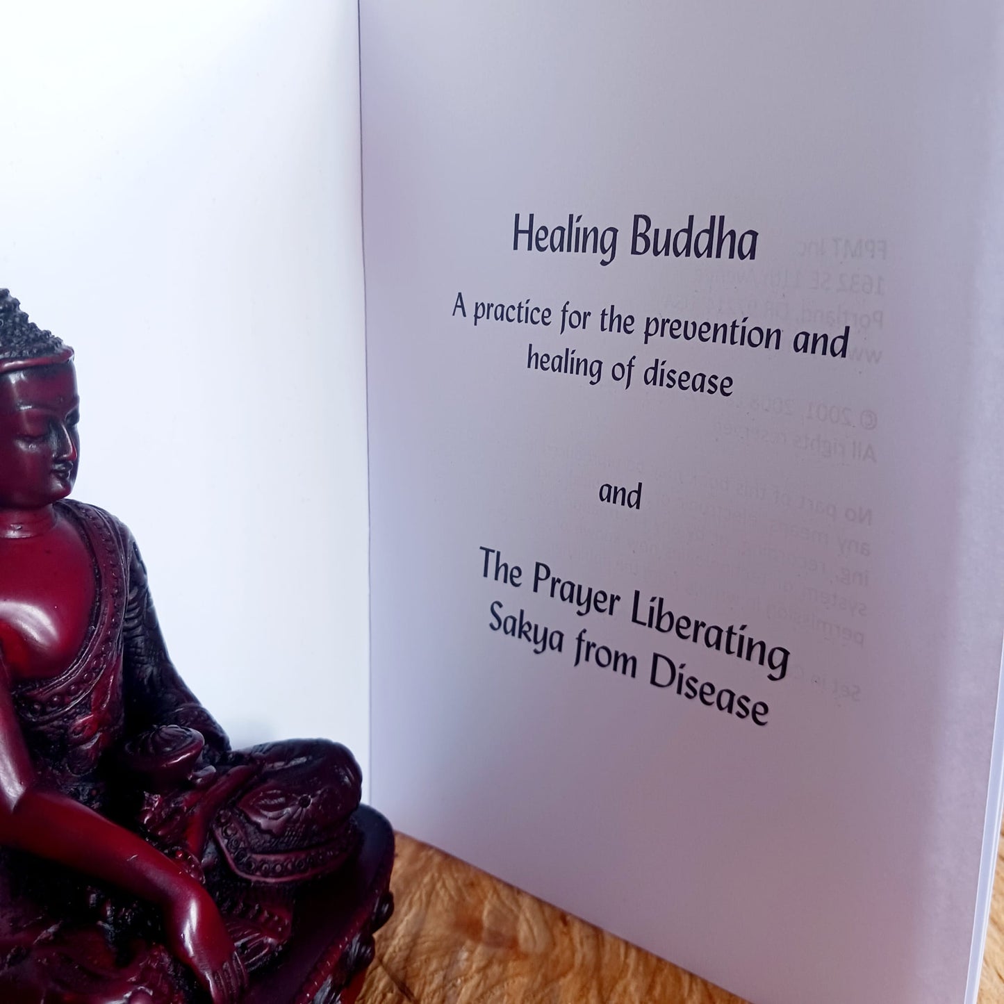 The Healing Buddha Book Buddhist teaching Books